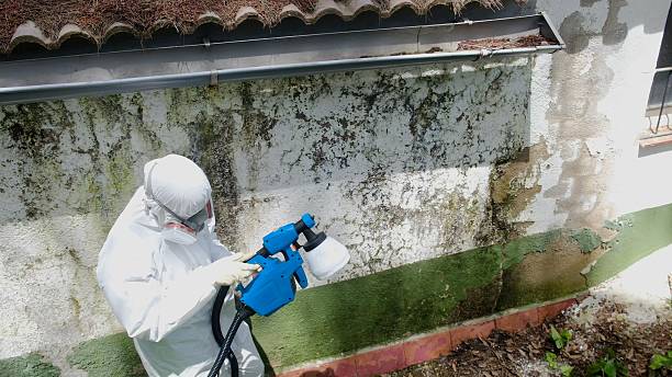 Top rated local Crawl Space Mold Remediation specialists in Livingston, TN